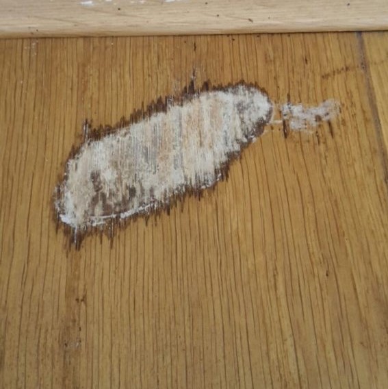 Houten vloer met schroeischade